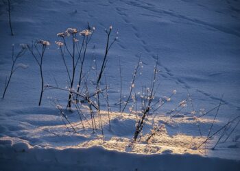 Дощі й мокрий сніг. Синоптики дали прогноз погоди на 17 грудня