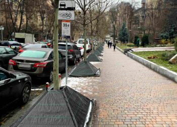 Київ захищатиме дерева від солі та реагентів  | ПРО ГОЛОВНЕ