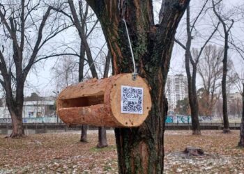 Київзеленбуд встановив майже 300 годівничок для птахів | ПРО ГОЛОВНЕ