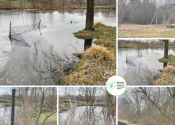 На Київщині виявили незаконну гідроспоруду на притоці річки Рось