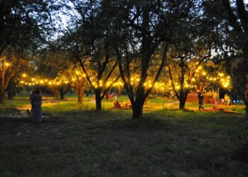 На ВДНГ можуть з’явитися терапевтичні сади | ПРО ГОЛОВНЕ