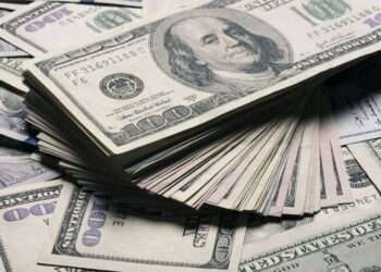 Оборонний бюджет США на 2025 рік затверджено, але ленд-ліз для України не продовжено |