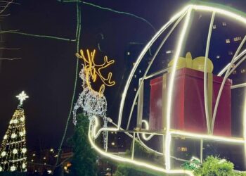 Святкові фотозони в парках Києва облаштував Київзеленбуд | ПРО ГОЛОВНЕ