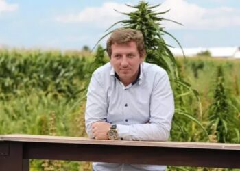 Українська асоціація канабісу стала на захист депутата Володимира Горковенка, який зазнає медійного тиску