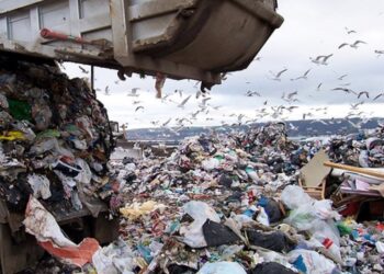 В Одесі запустять пілотний проєкт з управління відходами  | ПРО ГОЛОВНЕ