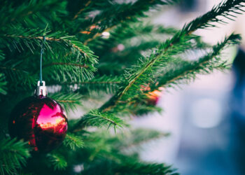 Жителі Богуславщини проголосували проти встановлення новорічної ялинки