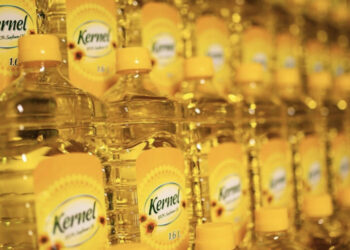 Вартість акцій Кернела на Варшавській біржі перевищила $1 млрд Економіка