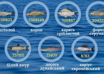 Близько 11 млн екземплярів цінних видів риб випустили торік до водойм України – Економіка