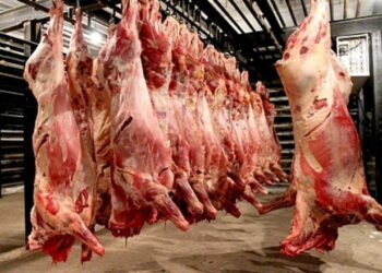 З 1 січня змінено правила забою сільгосптварин – Економіка