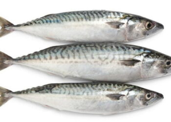 Торік Україна закупила за кордоном на 8,2% більше мороженої риби – Економіка