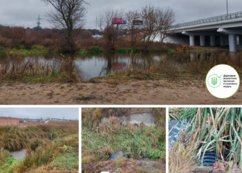 Екоінспектори зафіксували серйозне забруднення водойми на Київщині
