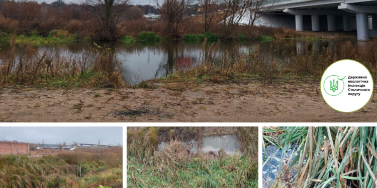 Екоінспектори зафіксували серйозне забруднення водойми на Київщині