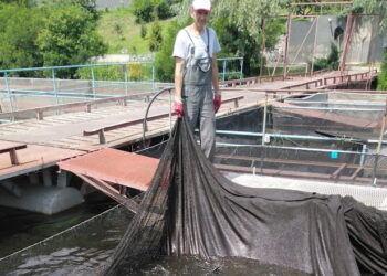 Вітчизняній аквакультурі бракує молодих спеціалістів – Економіка