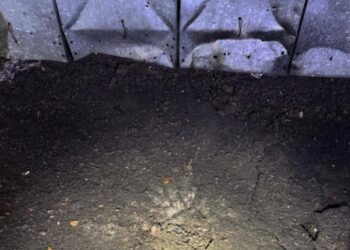 Кинув гранату на подвір’я знайомому:поліція Київщини повідомила про підозру