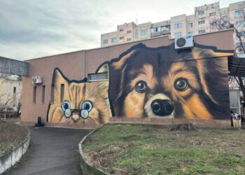 Мурали для притулку ДворНяшкам Дім намалювали у Києві | ПРО ГОЛОВНЕ