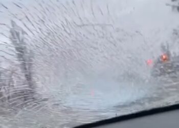 На блокпості в Київській області виник конфлікт за участі працівника ТЦК, який розбив лобове скло автомобіля. Відео