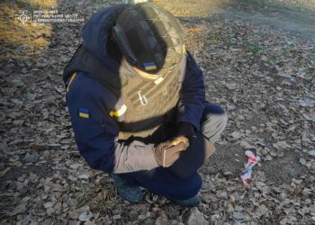 На Фастівщині знешкодили гранату часів Другої світової війни