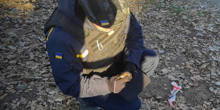 На Фастівщині знешкодили гранату часів Другої світової війни