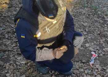 На Київщині сапери знешкодили гранату Ф-1 часів Другої світової війни