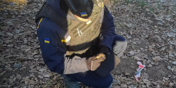На Київщині сапери знешкодили гранату Ф-1 часів Другої світової війни