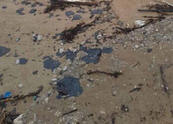 На західне узбережжя Севастополя принесло мазут із російських танкерів, які зазнали аварії