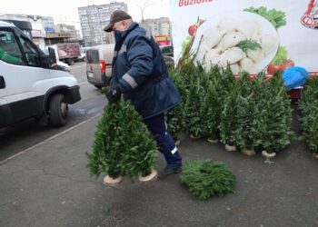 Незаконні ялинкові ярмарки у Києві демонтовують | ПРО ГОЛОВНЕ