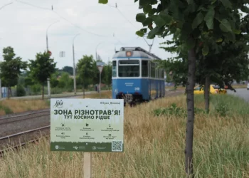 Озеленення Києва – Як досвід Вінниці може допомогти столиці знову стати зеленим містом | ПРО ГОЛОВНЕ