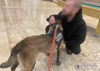 Поліцейські кінологи Київщини використовують методику каністерапії для допомоги військовим