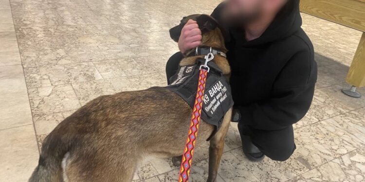Поліцейські кінологи Київщини використовують методику каністерапії для допомоги військовим