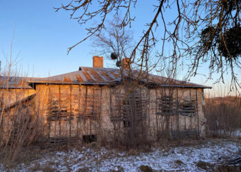 Садибу Браницьких на Київщині, де жила Марко Вовчок, виставили на продаж | ПРО ГОЛОВНЕ