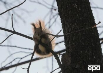 Синоптикиня розповіла, якою буде погода у вихідні в Україні, й анонсувала “малесеньке зниження” температури на Новий рік