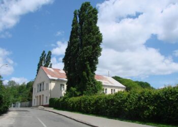 У ботсаду імені Гришка можуть звести офіси або житло під виглядом реконструкції  | ПРО ГОЛОВНЕ