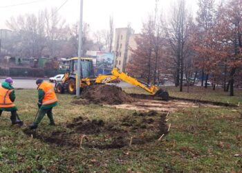 У Голосіївському районі з’явиться велика територія з луками | ПРО ГОЛОВНЕ