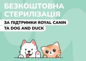 У Гостомельському притулку для тварин проведуть безкоштовну стерилізацію