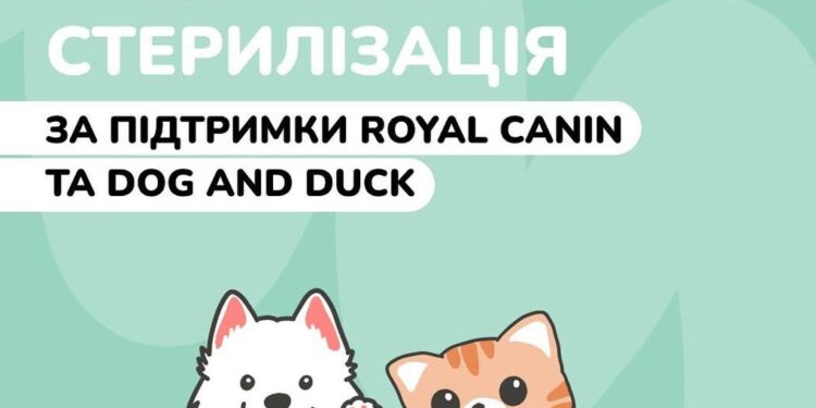 У Гостомельському притулку для тварин проведуть безкоштовну стерилізацію
