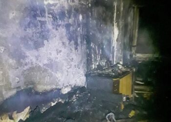 В Українці у пожежі загинули літня жінка та її песик