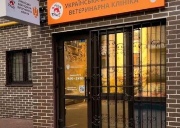 В Українській благодійній ветеринарній клініці у Ірпені безкоштовно вакцинують тварин