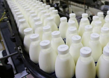 У 2024 році на перероблення надійшло на 10,4% більше молока – Економіка