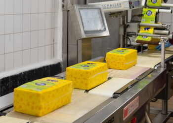 Виробники твердого сиру в грудні підвищили ціни на 2,3% – Економіка