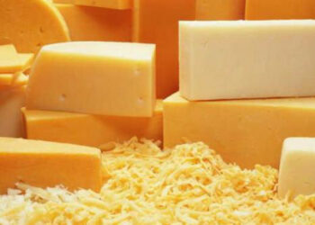 Виробник згущеного молока Ічня придбав Гадячсир удвічі дешевше за стартову ціну за 44 млн грн Економіка