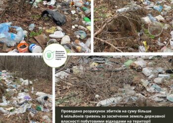 Екоінспектори виявили незаконне сміттєзвалище на Фастівщині