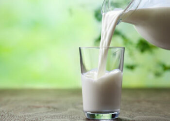 Сире молоко дешевшає ‒ вже 17,8 грн/кг – Економіка