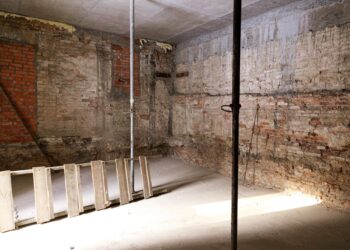 Фундаменти палацу Розумовського внесуть до реєстру пам’яток  | ПРО ГОЛОВНЕ