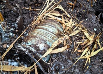 На Київщині сапери знешкодили ворожий БпЛА