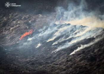 На Сквирщині за день вогонь знищив понад два гектари сухостою