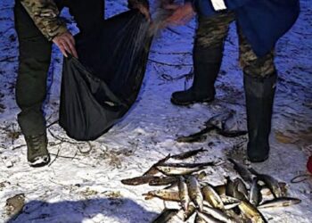 На Вишгородщині рибоохоронний патруль затримав браконьєра