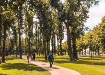 Парки Києва — за 10 років зникло 800 гектарів зелених зон | ПРО ГОЛОВНЕ