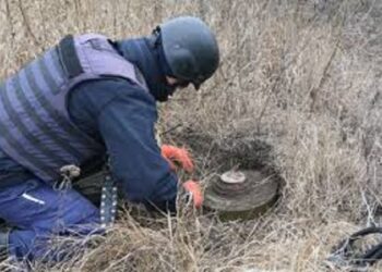 Понад 84 тисячі ВНП за 3 роки знешкодили на Київщині піротехніки ДСНС