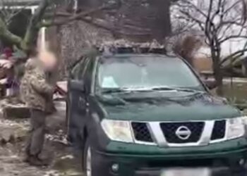 Продавали гуманітарні автомобілі: на Бориспільщині затримали благодійницю та волонтера