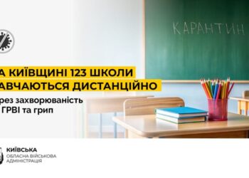 Спалах ГРВІ та грипу: на Київщині 123 школи перевели на дистанційне навчання